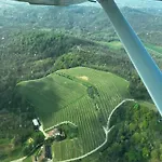 Tenuta Valdomini *