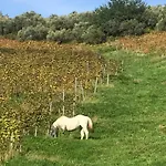 Tenuta Valdomini Attimis