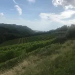 Lantgård Tenuta Valdomini Attimis
