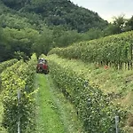 Tenuta Valdomini * Attimis