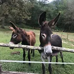 Gospodarstwo agroturystyczne Tenuta Valdomini *