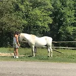 Tenuta Valdomini Gospodarstwo agroturystyczne Attimis