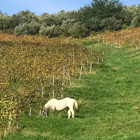 泰努塔瓦尔多米尼农家乐 Attimis