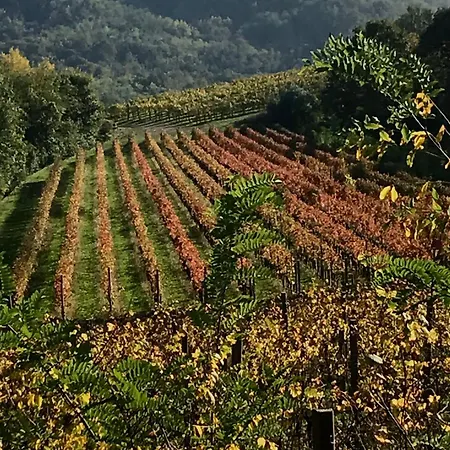 Tenuta Valdomini Farm stay