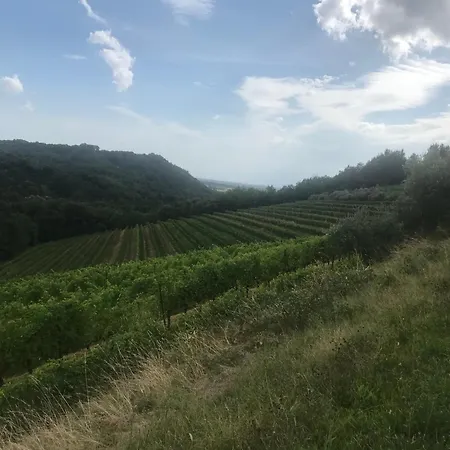 Gospodarstwo agroturystyczne Tenuta Valdomini Attimis