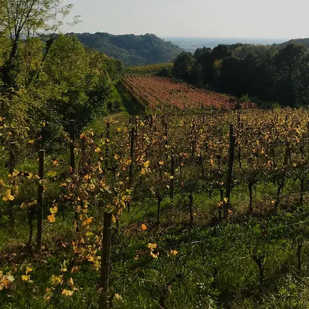Farm stay Tenuta Valdomini