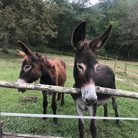 Farm stay Tenuta Valdomini *