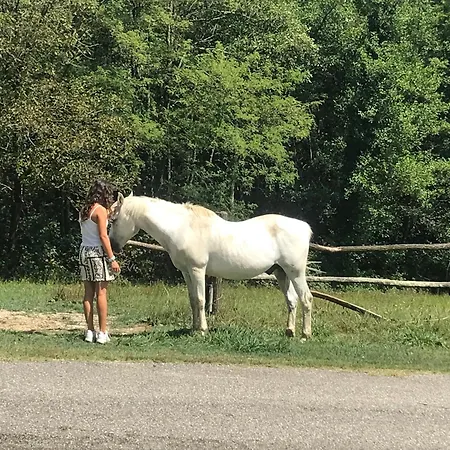 Tenuta Valdomini Séjour à la ferme Attimis
