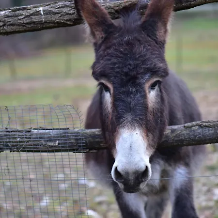 Gospodarstwo agroturystyczne Tenuta Valdomini *
