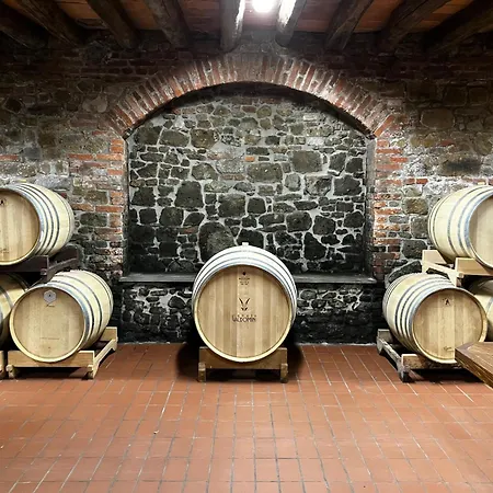 Tenuta Valdomini * Attimis