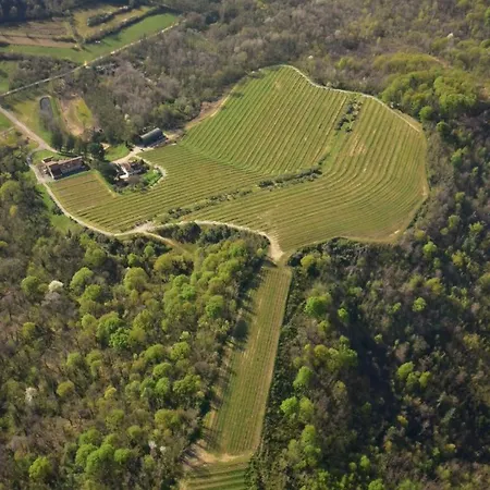 Tenuta Valdomini *