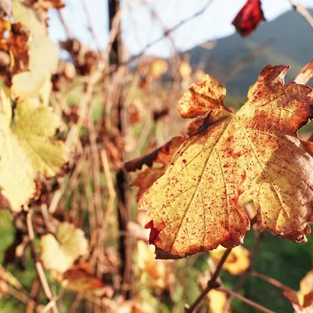 Alloggio per agriturismo Tenuta Valdomini