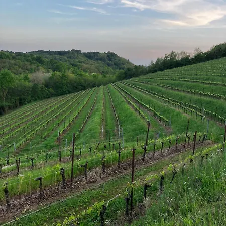 Tenuta Valdomini *