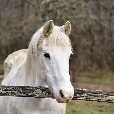 Farmház Tenuta Valdomini