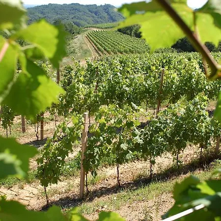 Tenuta Valdomini Farm stay Attimis