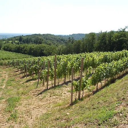Tenuta Valdomini *