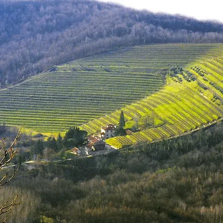 泰努塔瓦尔多米尼农家乐 Attimis