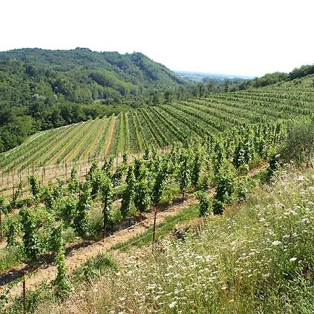 Tenuta Valdomini Attimis