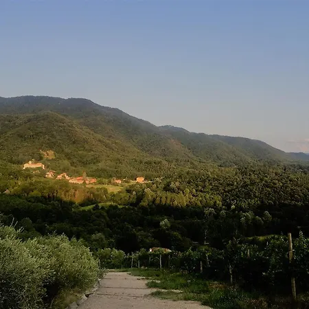 Farm stay Tenuta Valdomini Attimis