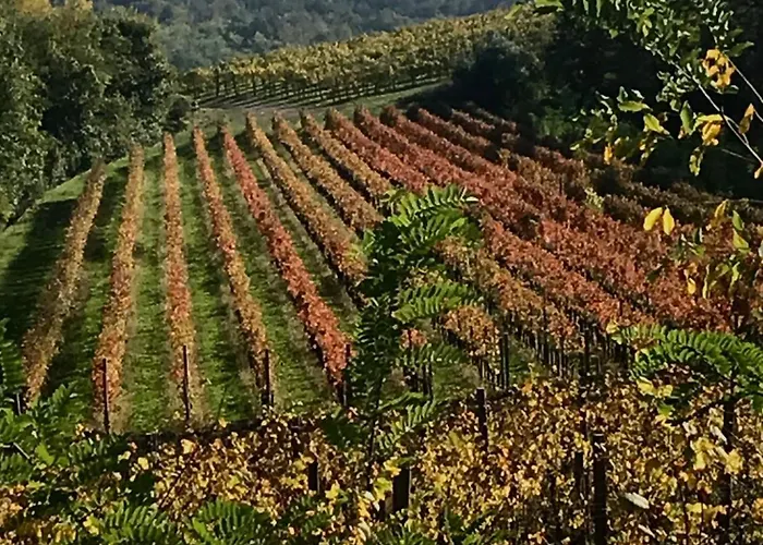 Tenuta Valdomini Farmház