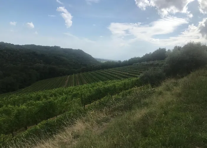 Farmház Tenuta Valdomini Attimis