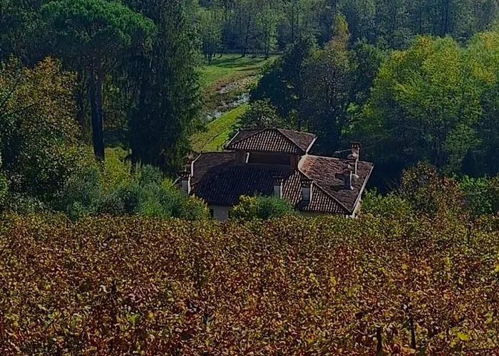Tenuta Valdomini