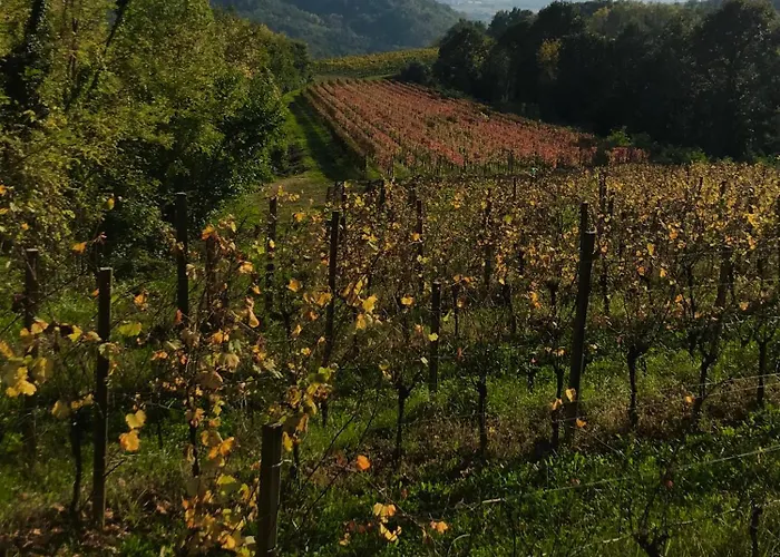 Farmház Tenuta Valdomini