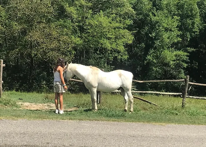 Tenuta Valdomini Farmház Attimis