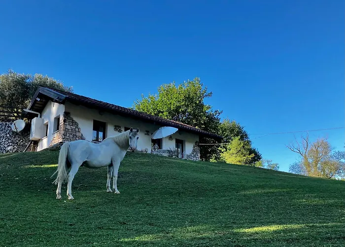 Tenuta Valdomini * Attimis
