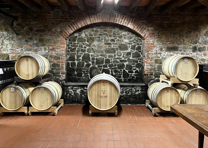 Tenuta Valdomini * Attimis