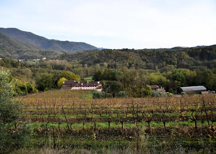 Farmház Tenuta Valdomini