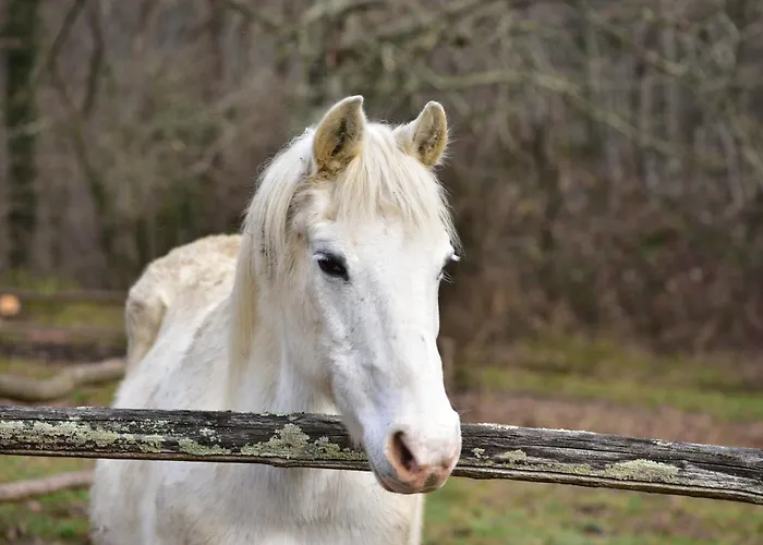 Farmház Tenuta Valdomini