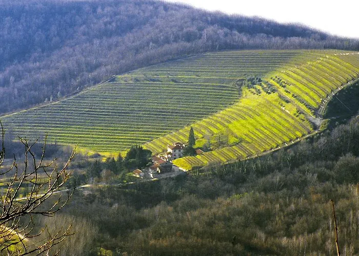 Tenuta Valdomini Attimis